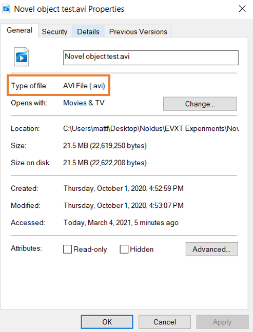 Video Properties Dialog