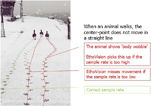 Movement sampling visualization