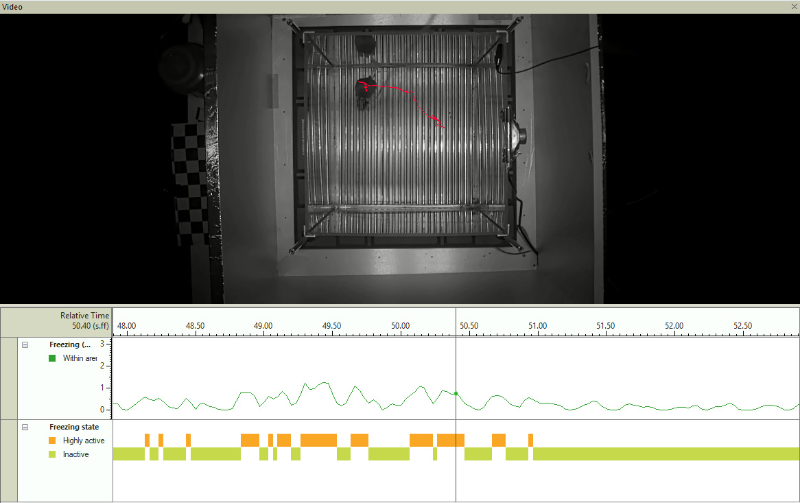 Activity state over time - freezing detection