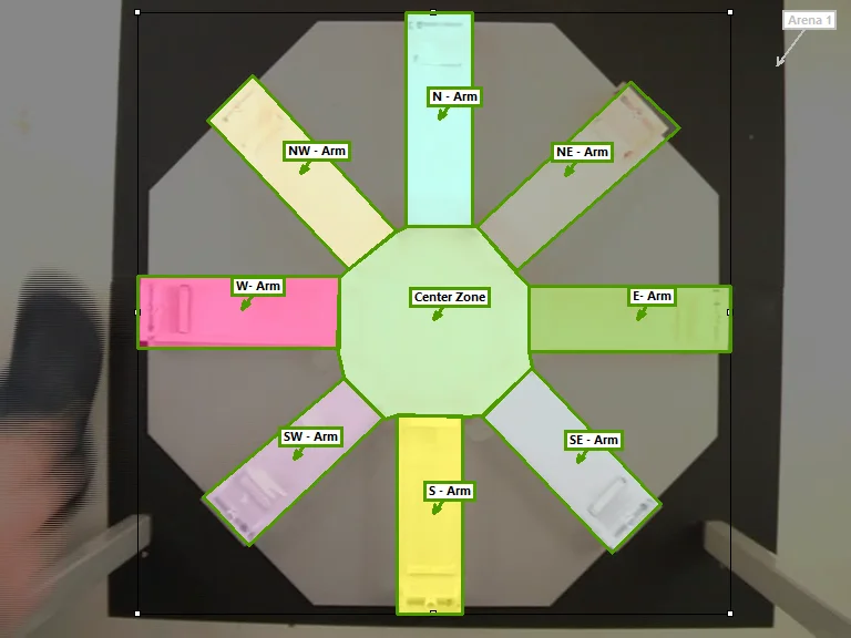 Counting the choices: what the radial arm maze teaches us