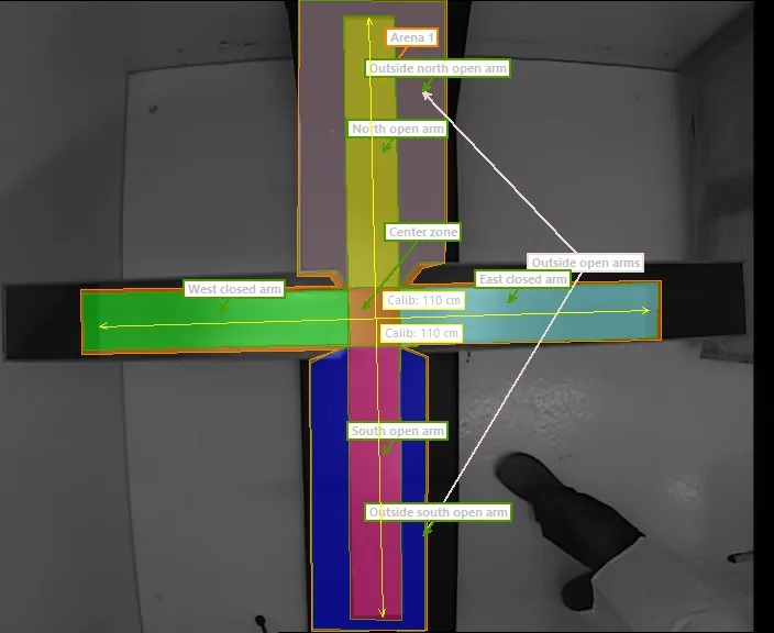 EthoVision arena settings configured for the elevated plus maze