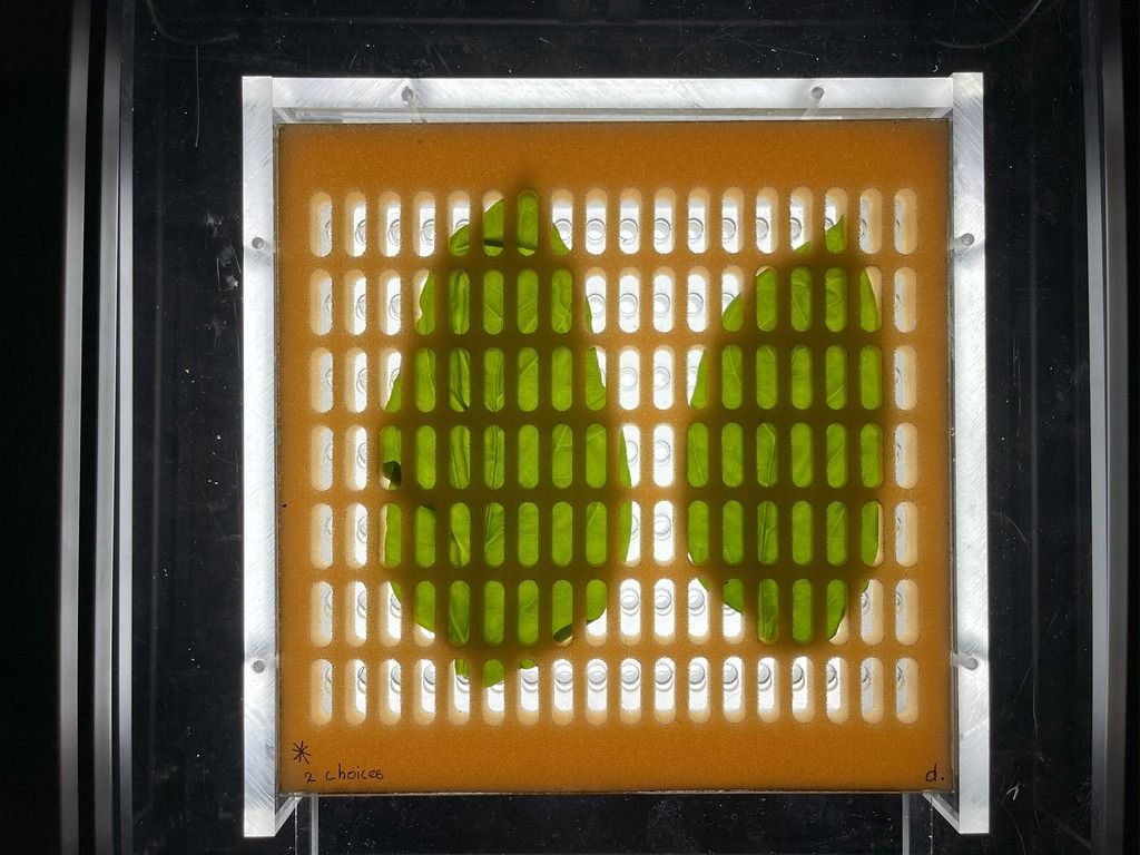 EntoLab test array