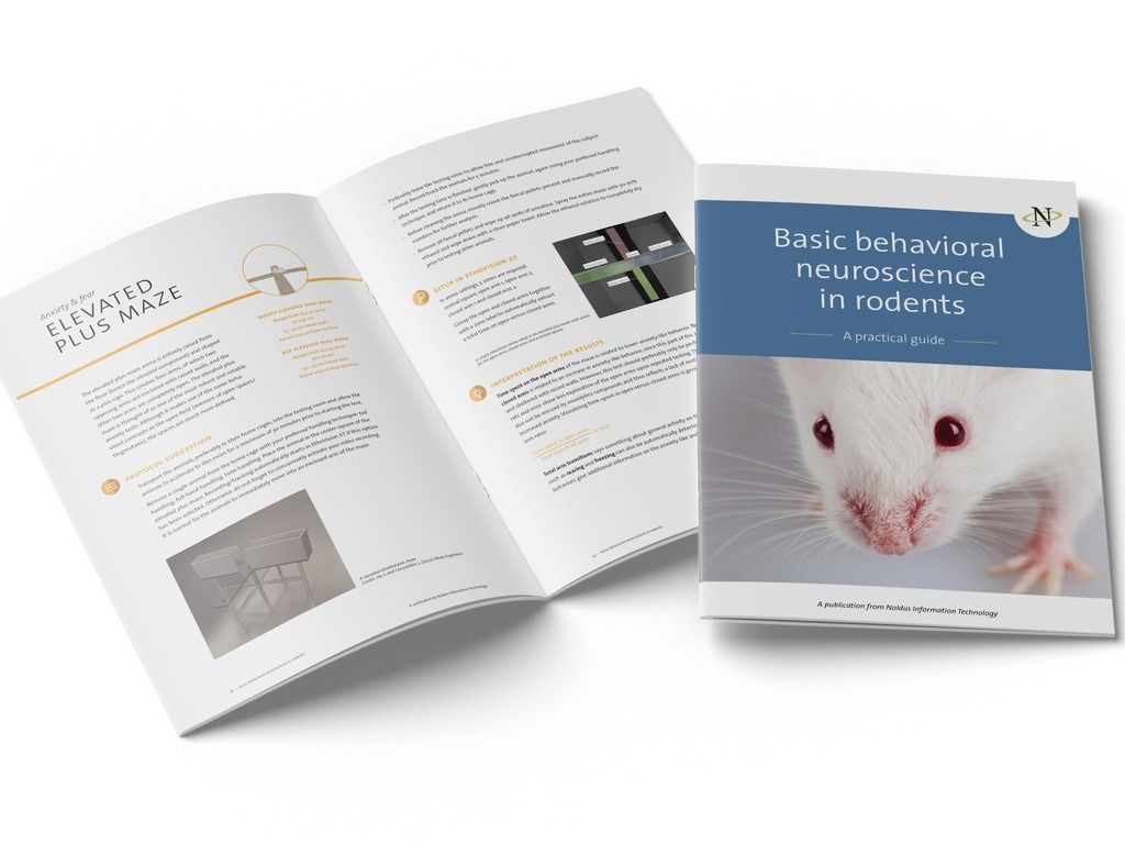 Basic behavioral neuroscience in rodents