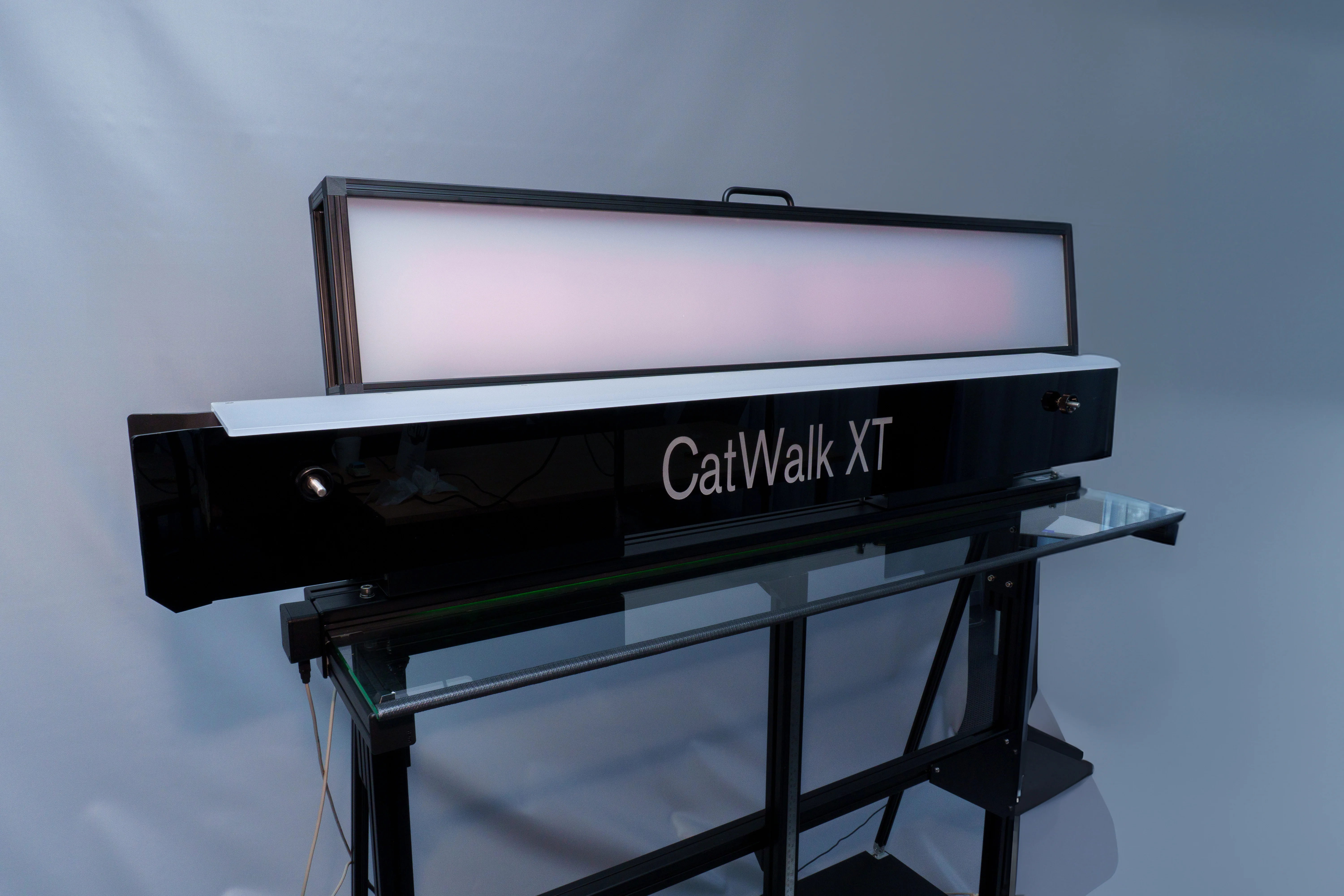 CatWalk XT gait analysis system