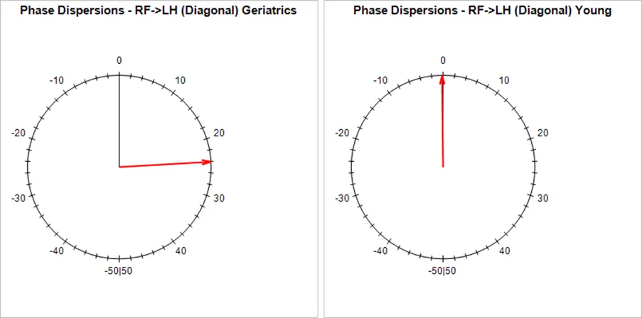 Circular graph of the diagonal RF to LH paw pair comparing young and geriatric mice