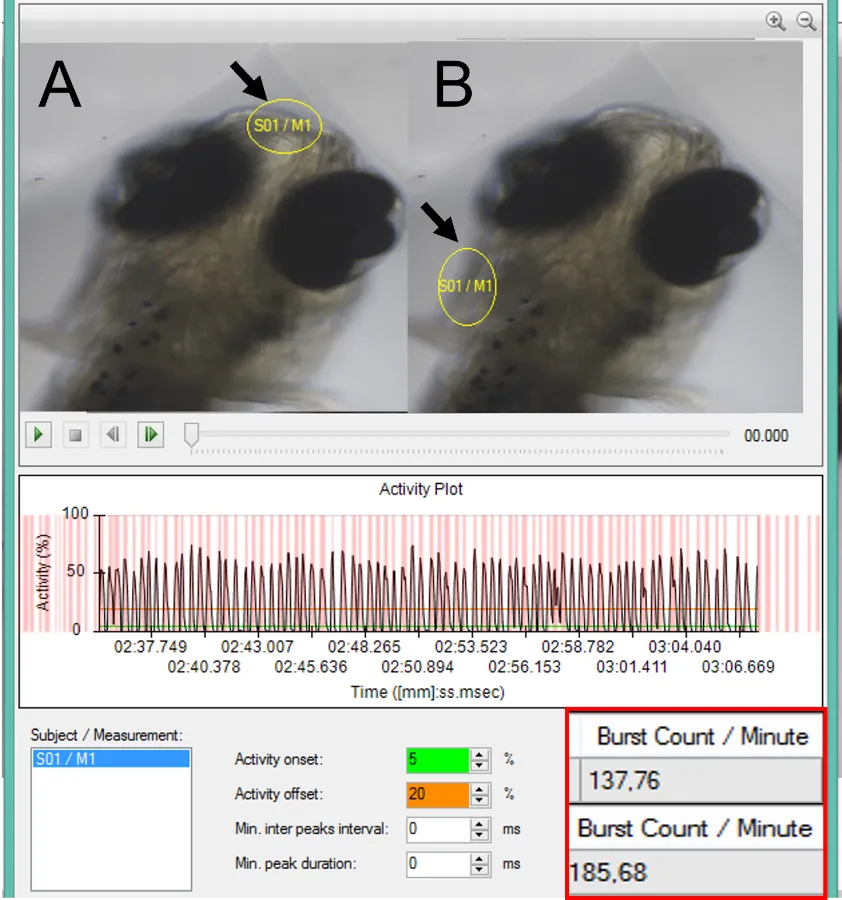 DanioScope breathing zebrafish