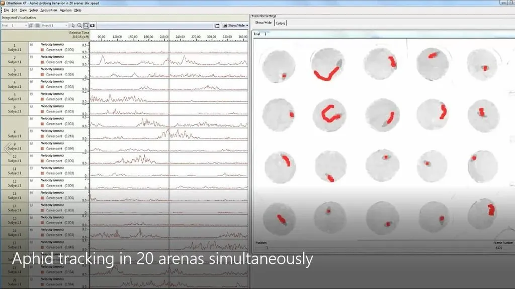 Tracking in EntoLab