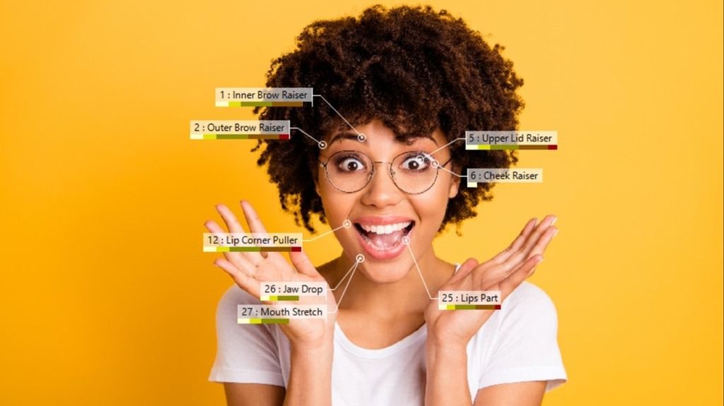 FaceReader Action Units