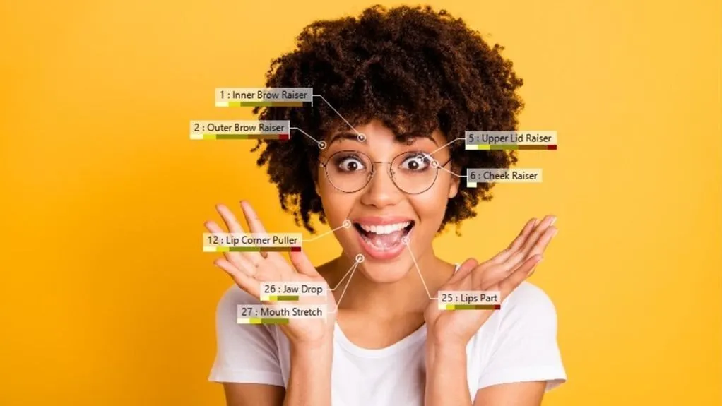 FaceReader Action Units