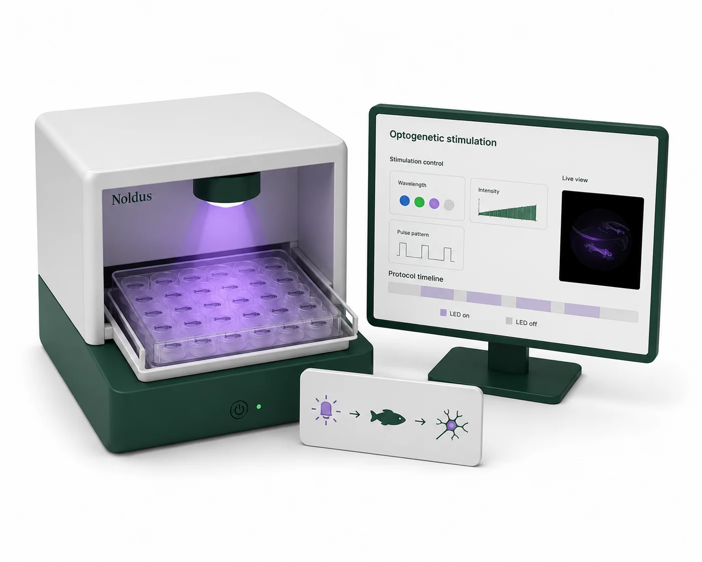Optogenetic stimulation