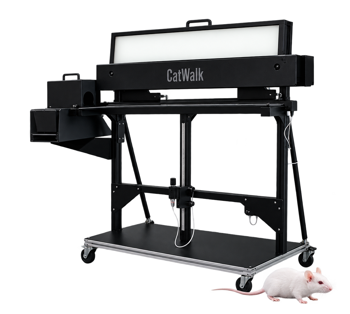 CatWalk XT with mouse