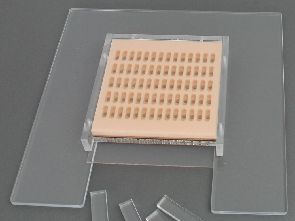 Plexiglass assay plates