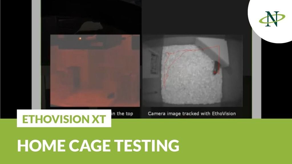 EthoVision XT homecage testing