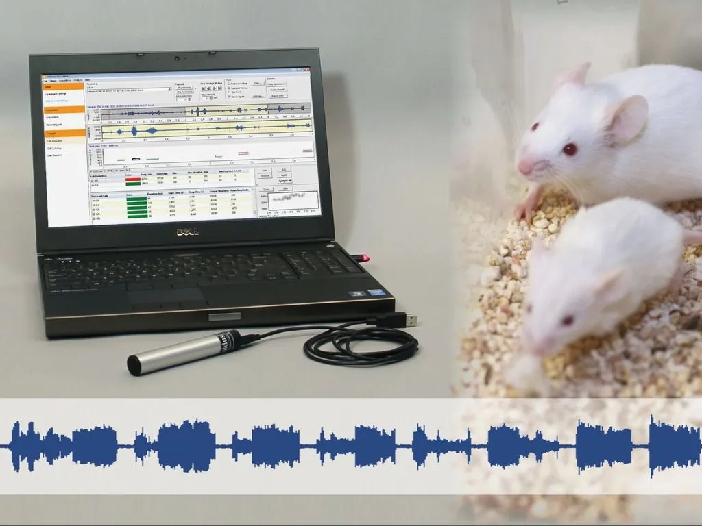 Ultrasonic vocalizations