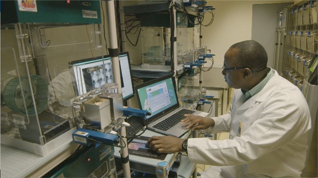 Customer Stories | Animal | University of Rouen