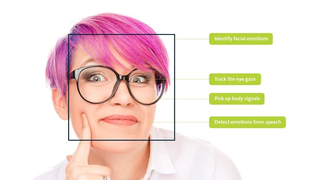 荷兰 诺达思 面部表情分析系统 FaceReader